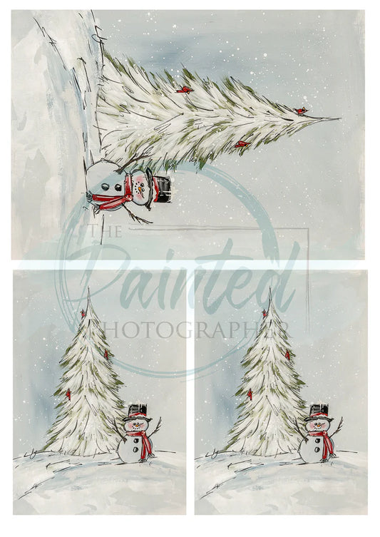 Winter Visitors Multiple