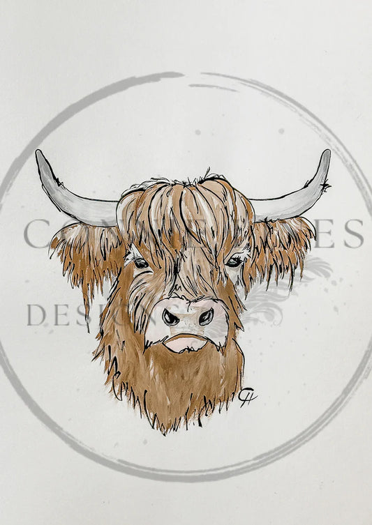 Highland Cow Gilbert
