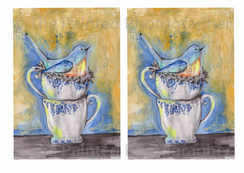 Blue Bird Nesting 2 5x7