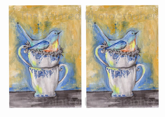 Blue Bird Nesting 2 5x7