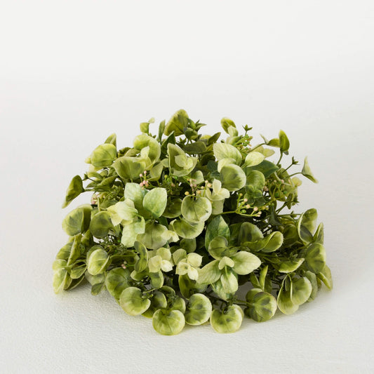 Eucalyptus & Mint Leaf Orb