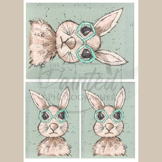 Wild Hare Don't Care Multiple