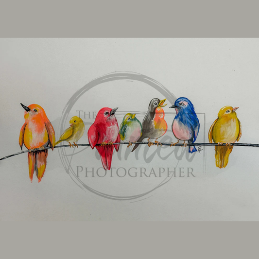 Feathered Friends - Summer 2025 Collection