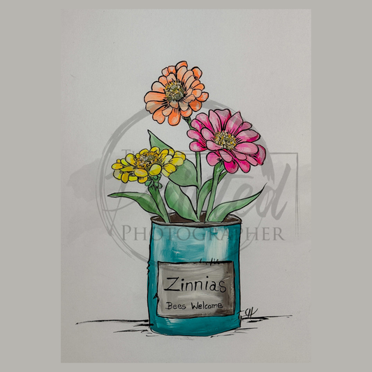 Zinnia Brillance - Summer 2025 Collection