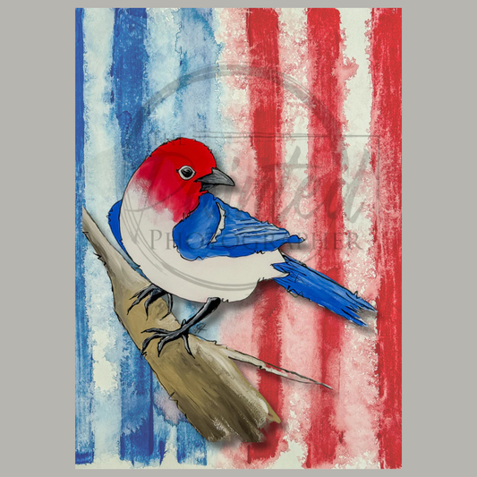 Freedom Summer 2025 Collection