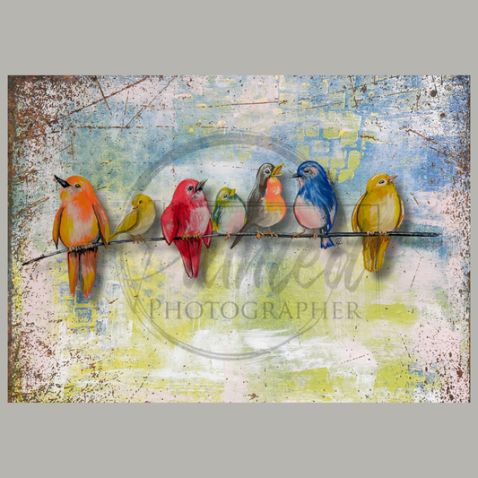 Feathered Friends with Background Summer 2025 Collection