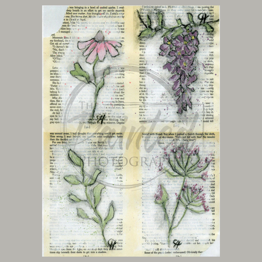 Journal Sketch 4-Up Color Summer 2025 Collection