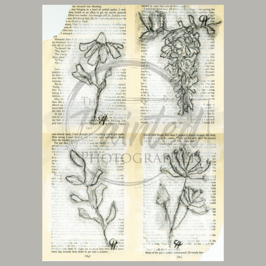 Journal Sketch 4-Up No Color Summer 2025 Collection