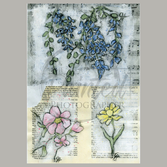 Journal Sketch 3-Up Color Summer 2025 Collection