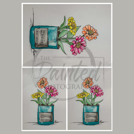 Zinnia Brillance Multiple Summer 2025 Collection