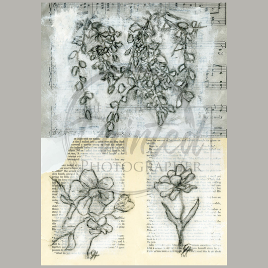 Journal Sketch 3-Up No Color Summer 2025 Collection