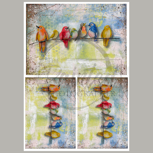 Feathered Friends with Background Multiple Summer 2025 Collection