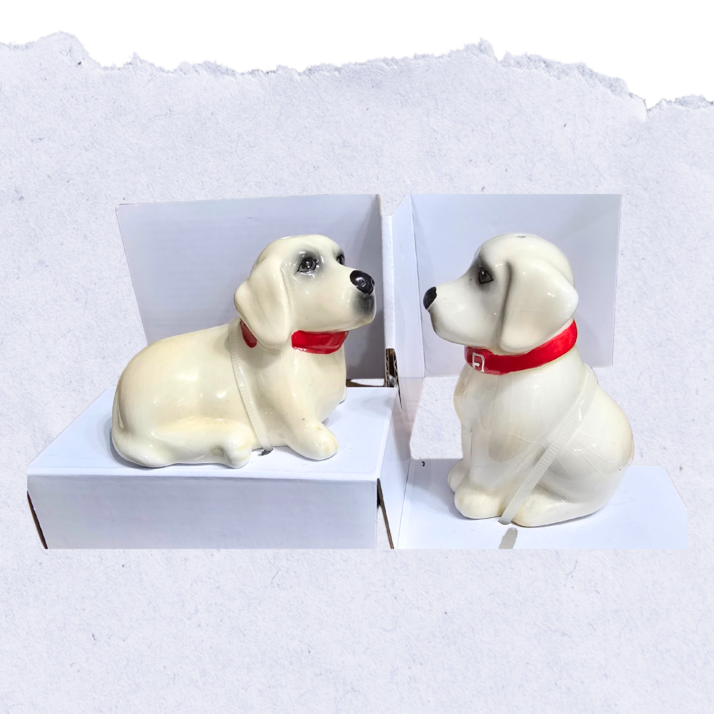 The Pioneer Woman Lucy & Duke Stoneware Salt & Pepper Shaker Set – New in Box
