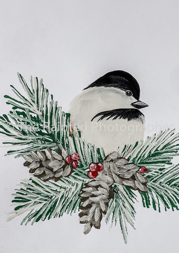 Winter Chickadee by Connie