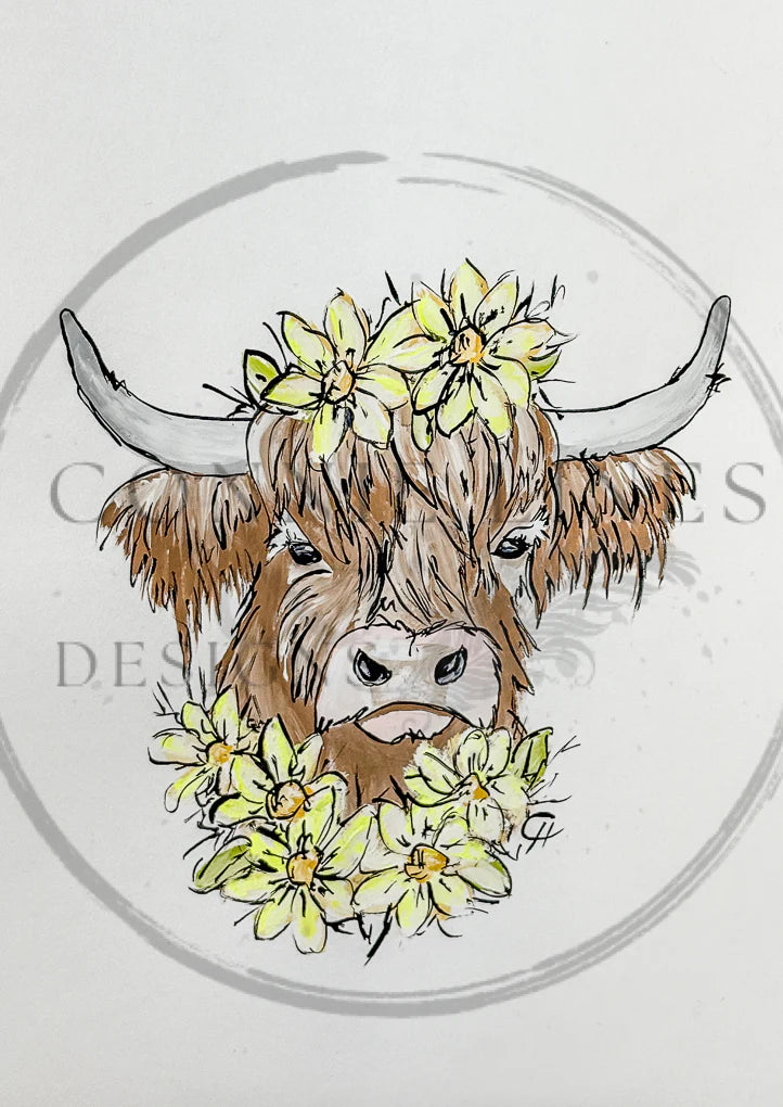 Highland Cow Franny