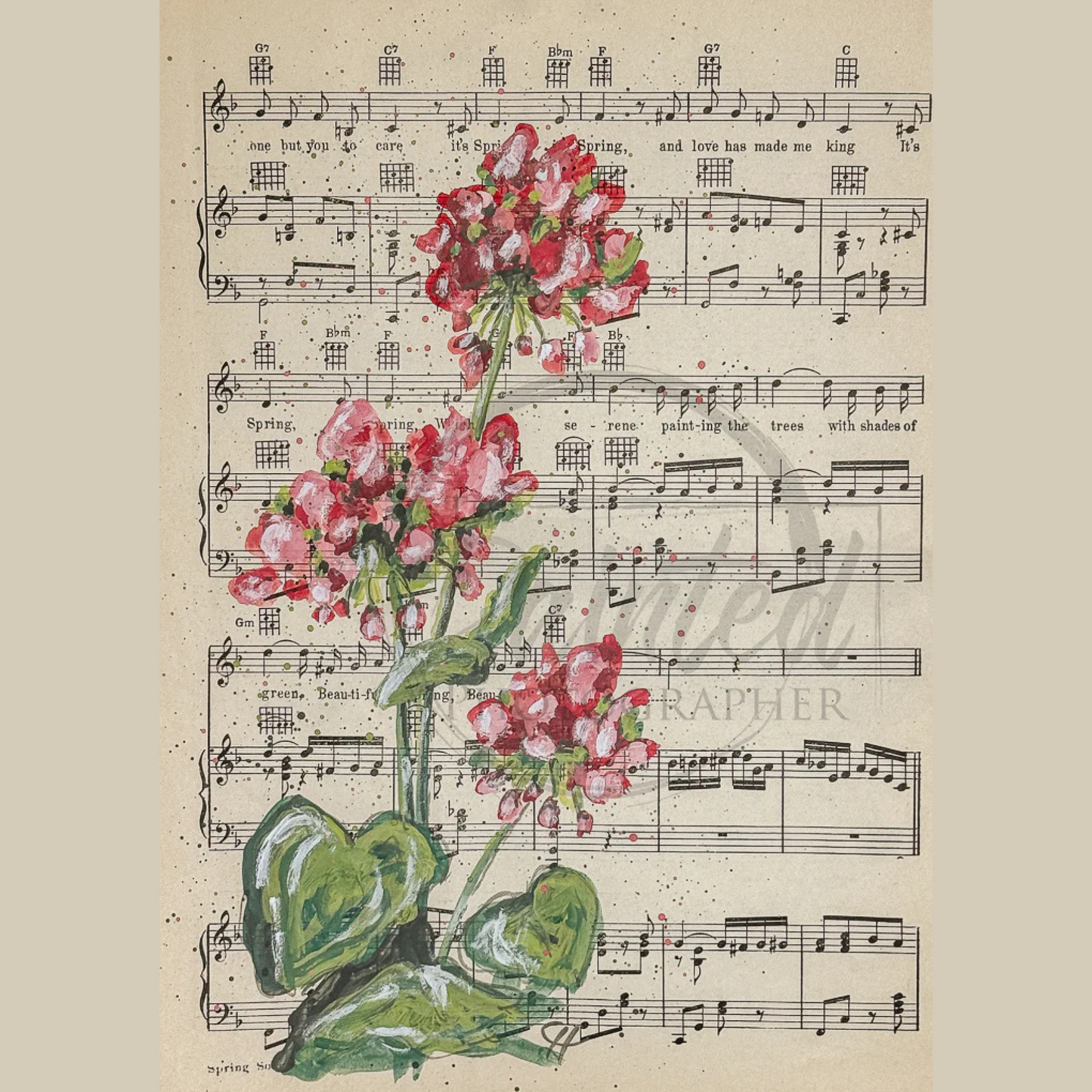 Geranium of Love