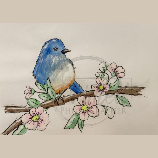 Moments of Happiness