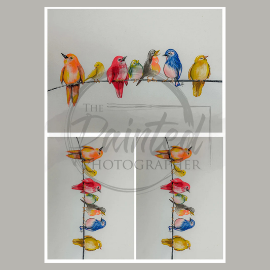 Feather Friends Multiple Summer 2025 Collection