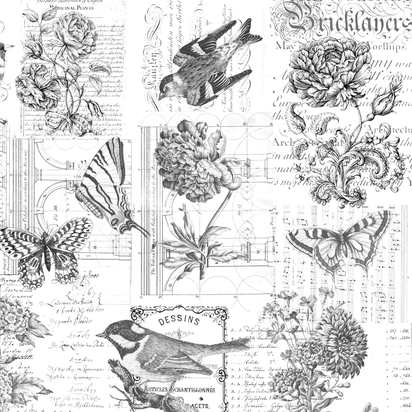 Paintable Botanical by Roycycled Treasures
